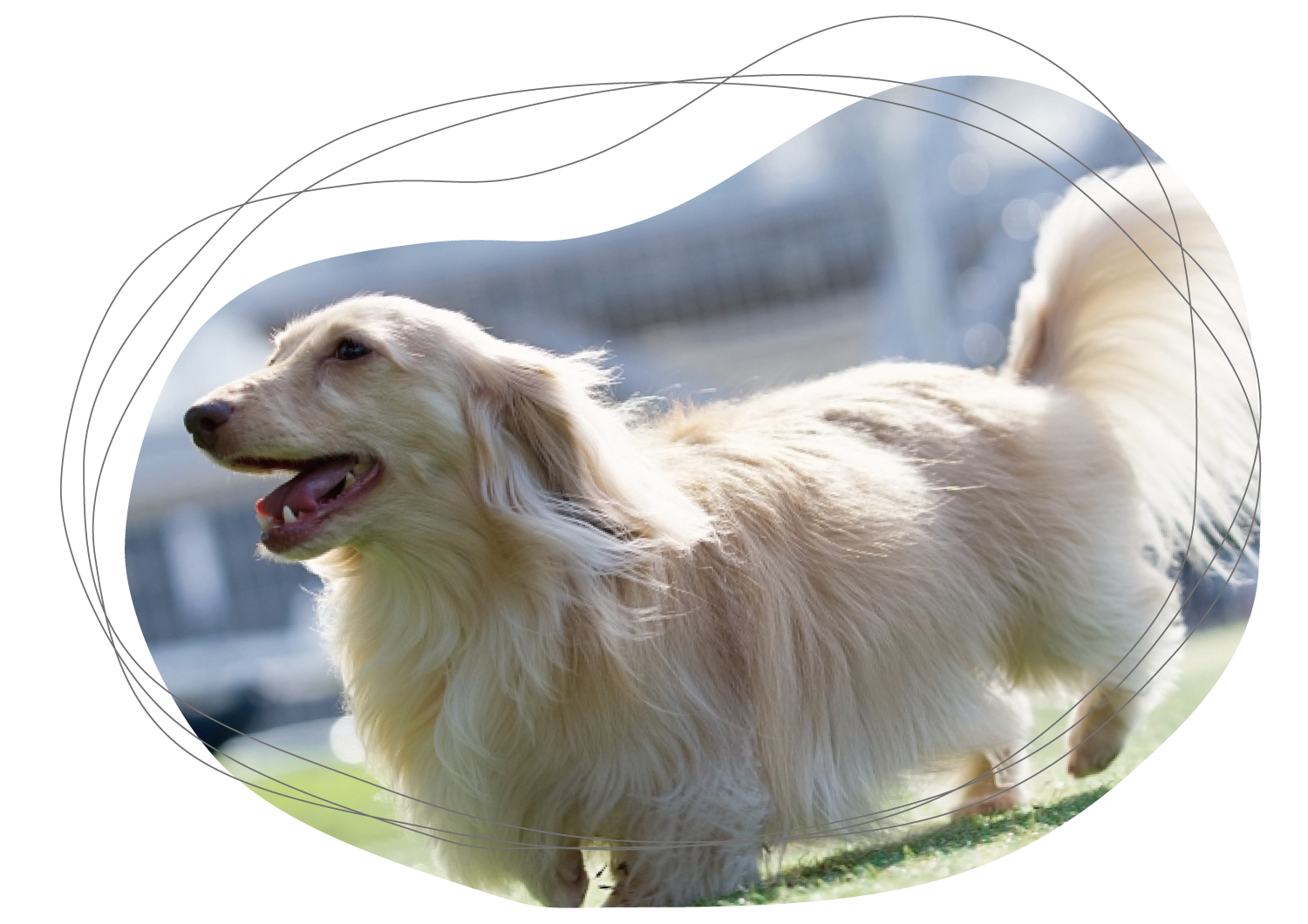 img20250613152927609477.png